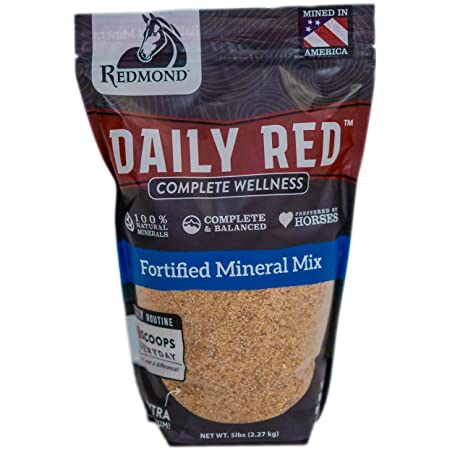 Redmond - Complete Wellness Loose Mineral Salt