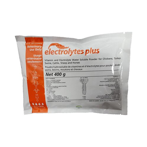 E Lytes Plus (Electrolytes) - 400gm