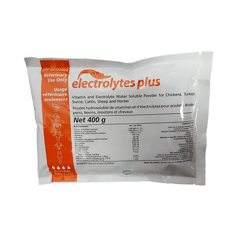 E Lytes Plus (Electrolytes) - 400gm