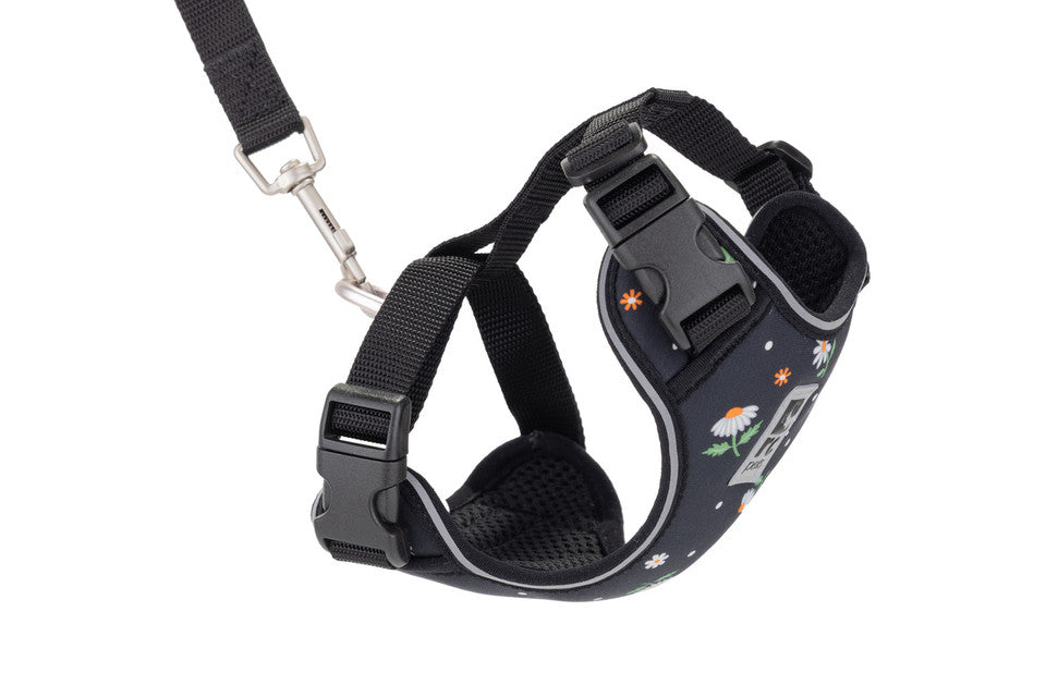 RC Pets - Kitty - Adventure Harness