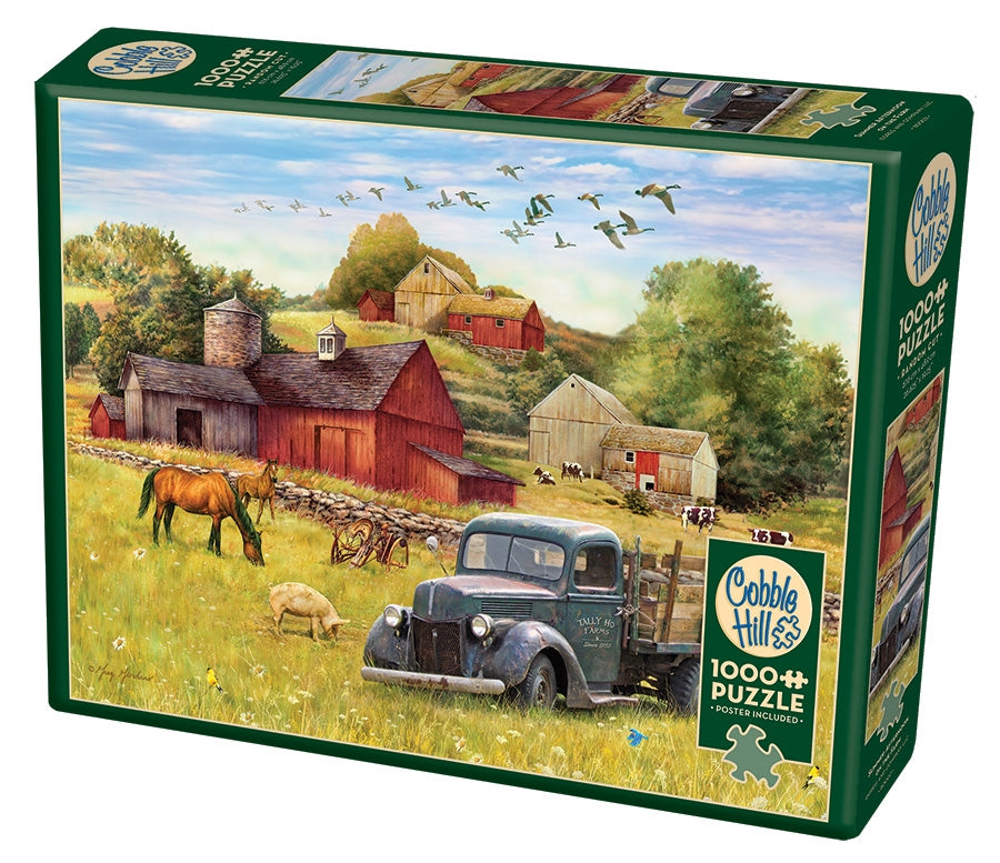 Games - Puzzle - 1000 pc - Cobble Hill