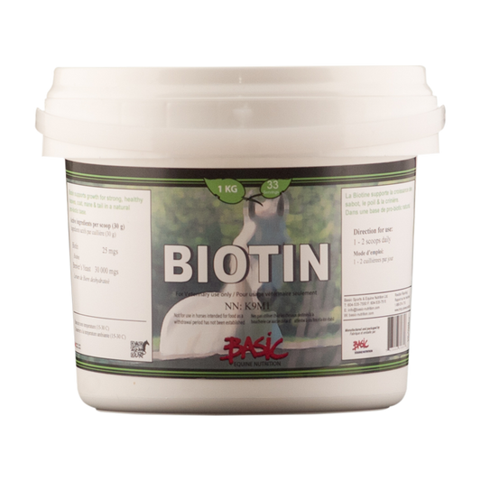 Biotin - 5kg (Special Order)