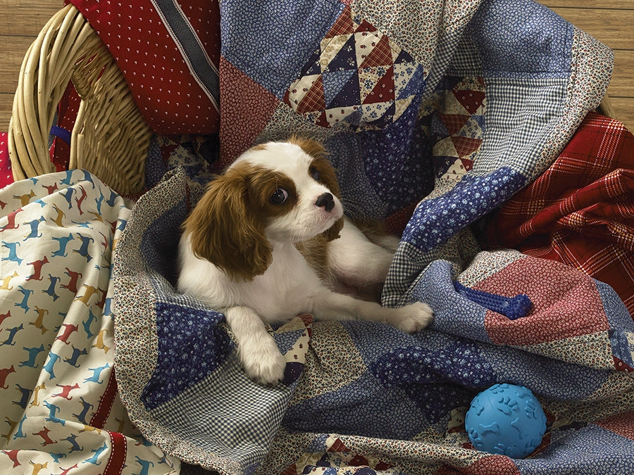 Games - Puzzle - Cobble Hill - 500 pc