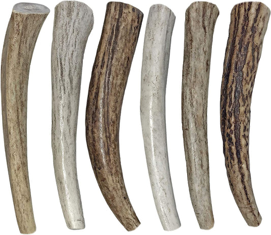 ** Antler Chews ** CLEARANCE