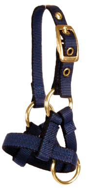 Burwash - Alpaca Halter