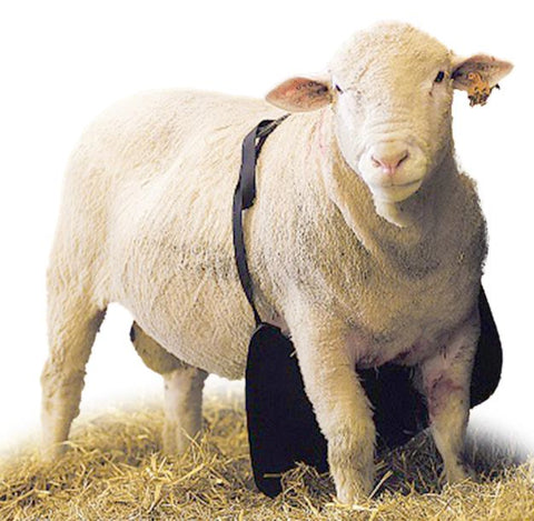 Anti Breeding Shield - Bacchus Johnson Shield -  Buck/Ram
