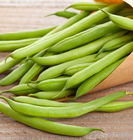 West Coast Seeds - Beans