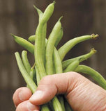 West Coast Seeds - Beans