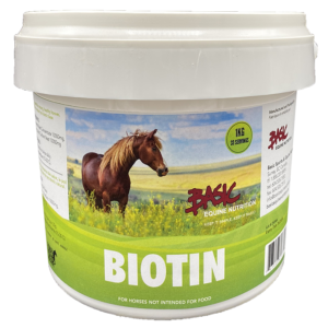 Biotin - 1kg
