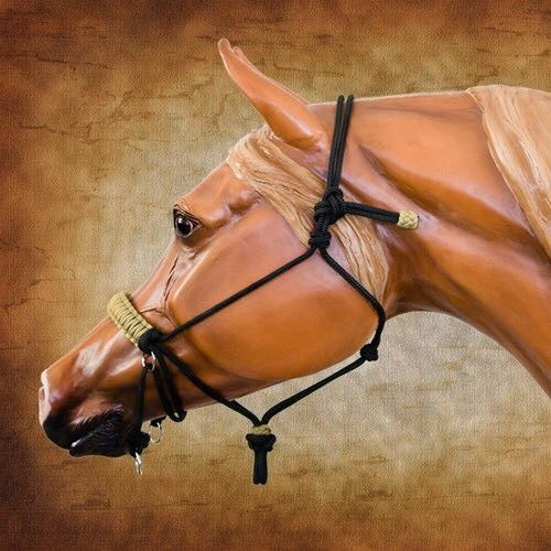 True North - Bitless Rope Halter w/Braided Noseband & Roping Rein
