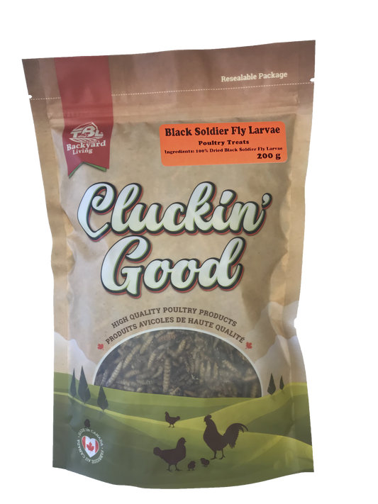 Cluckin' Good - Black Soldier Fly Larvae