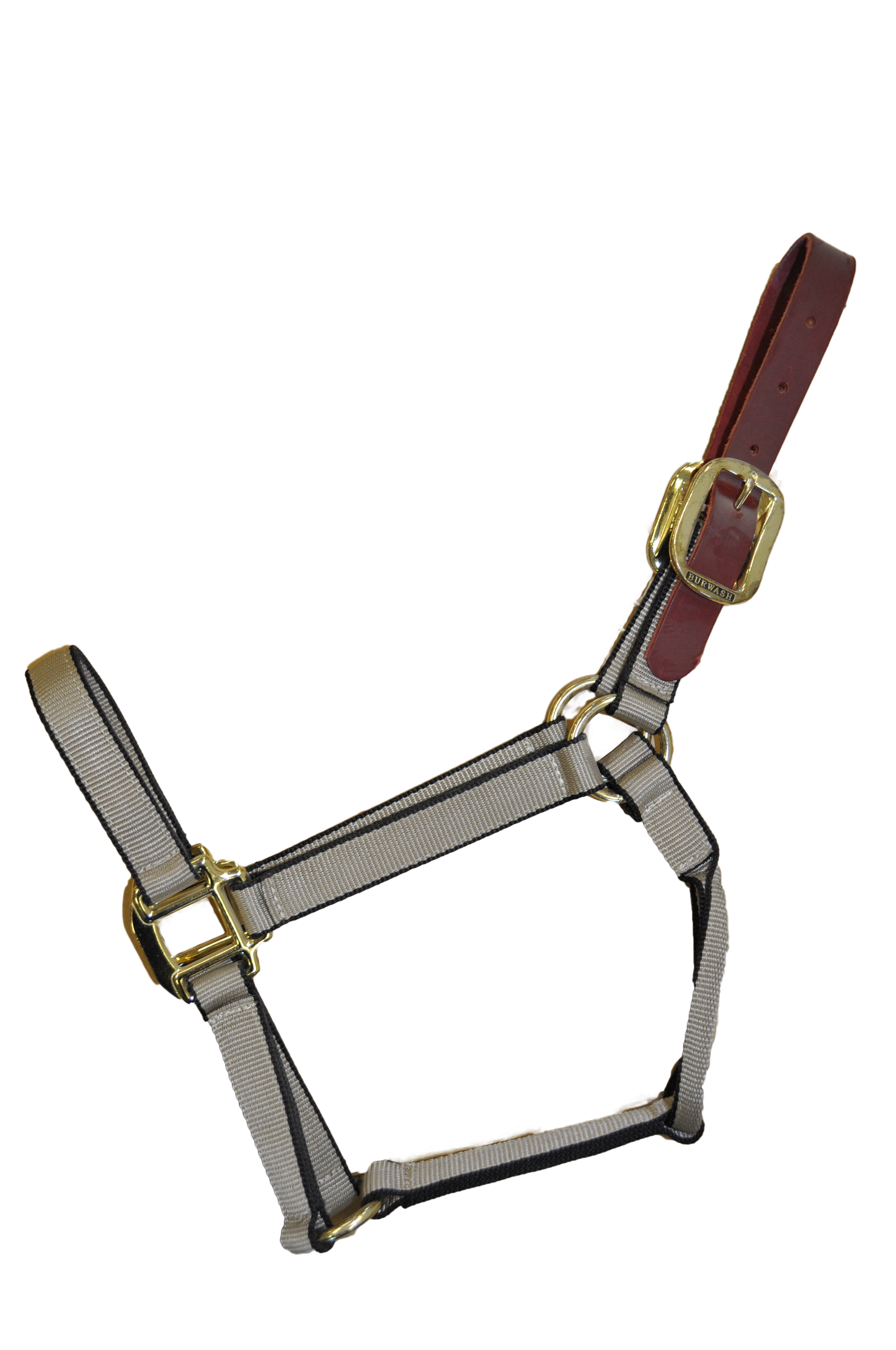 Burwash - Ultimate - Breakaway Horse Halter