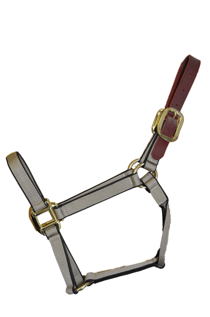 Burwash - Ultimate - Breakaway Horse Halter