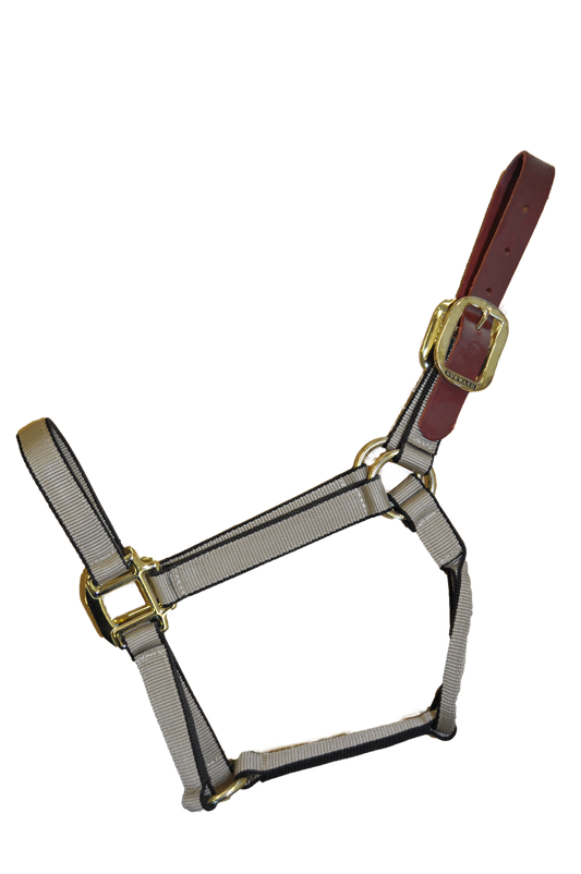 Burwash - Ultimate - Breakaway Horse Halter