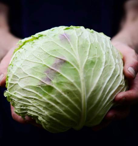 West Coast Seeds - Misc Vegetables