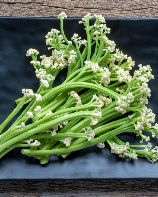 West Coast Seeds - Misc Vegetables