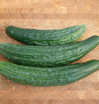 West Coast Seeds - Cucumber