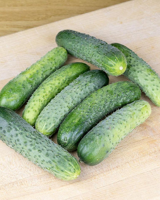 West Coast Seeds - Cucumber