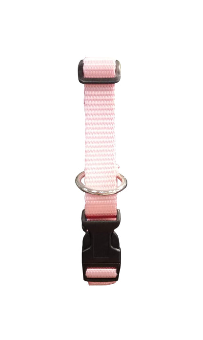 Paw Tracks Pet Gear - Adjustable Dog Collar