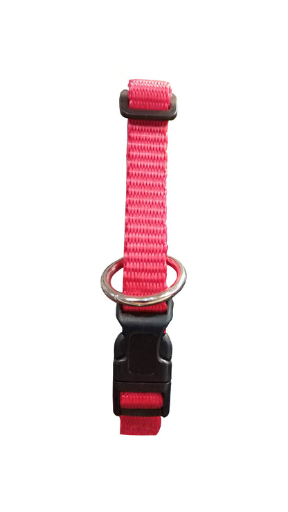 Paw Tracks Pet Gear - Adjustable Dog Collar