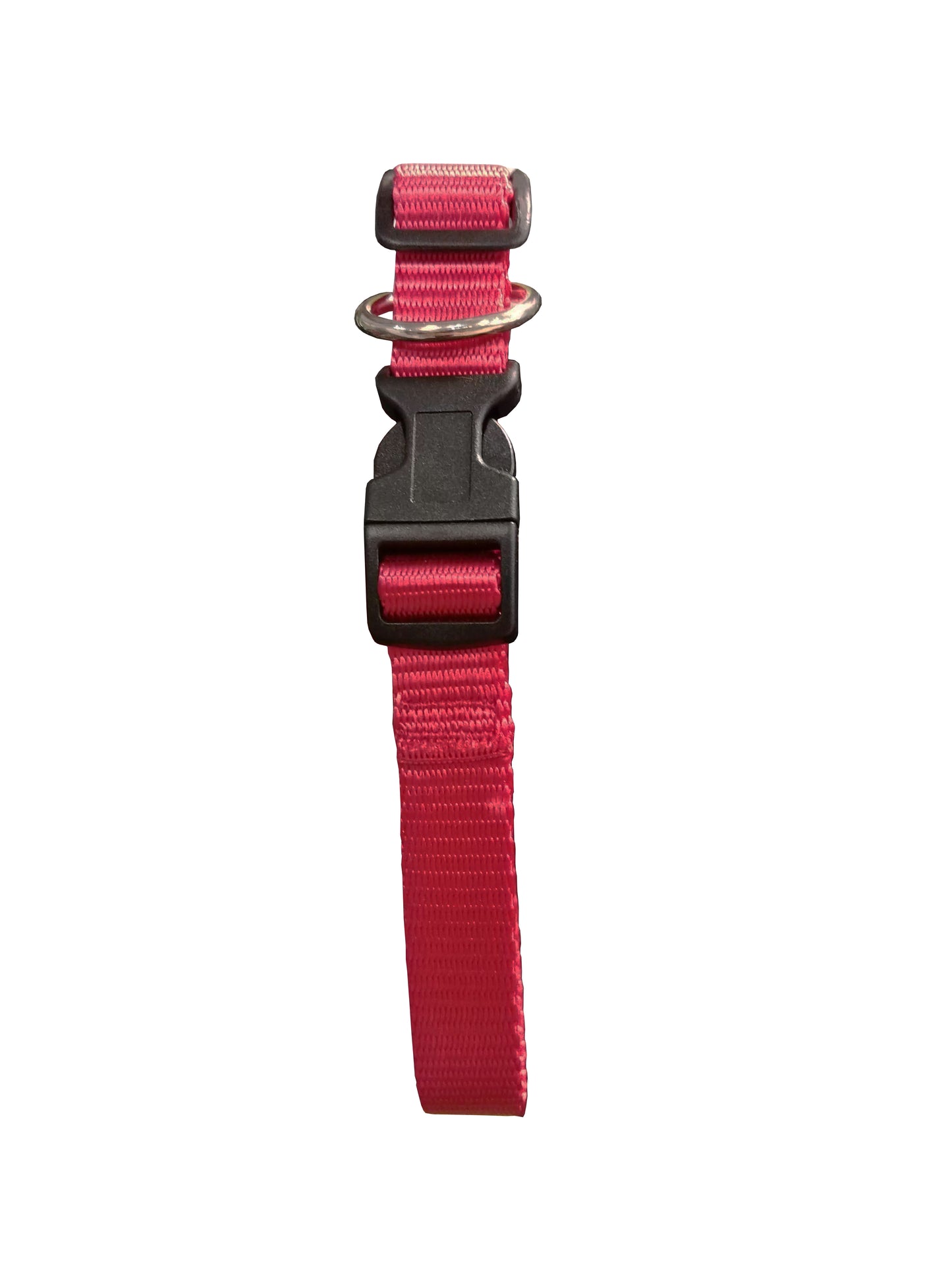 Paw Tracks Pet Gear - Adjustable Dog Collar