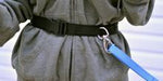 Paw Tracks Pet Gear - Hands-Free Waist Belt