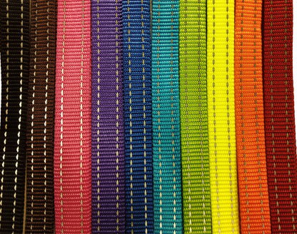 Dog Leash W/ Reflective Stripe