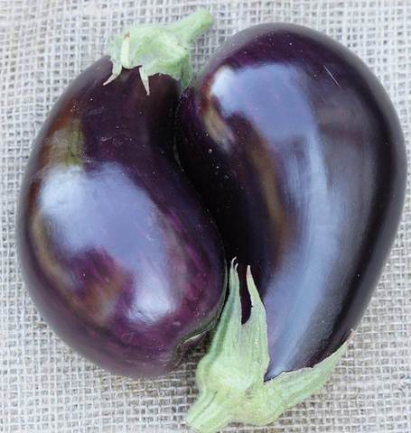 West Coast Seeds - Misc Vegetables