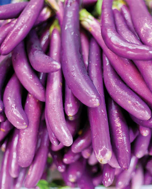 West Coast Seeds - Misc Vegetables