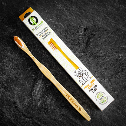 OLA Bamboo Toothbrushes