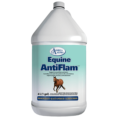 Omega Alpha - Equine - AntiFlam