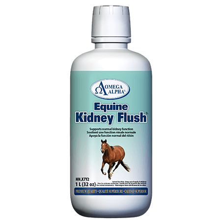 Omega Alpha - Equine - Kidney Flush - 1L