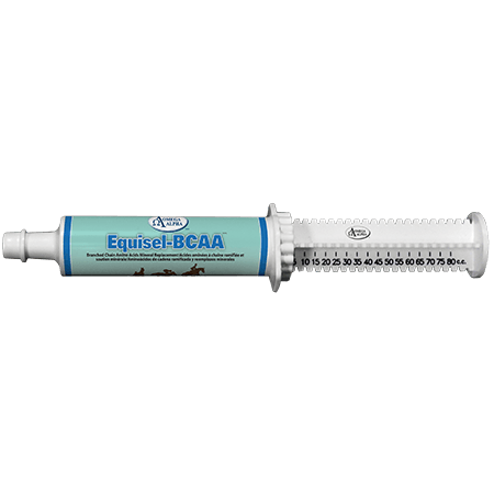 Omega Alpha - Equine - Equisel-BCAA - 60cc Tube