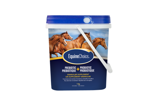 Equine Choice - Prebiotic + Probiotic Granular