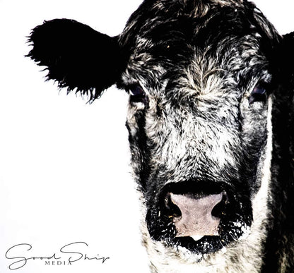 Goodship Media - Pictures