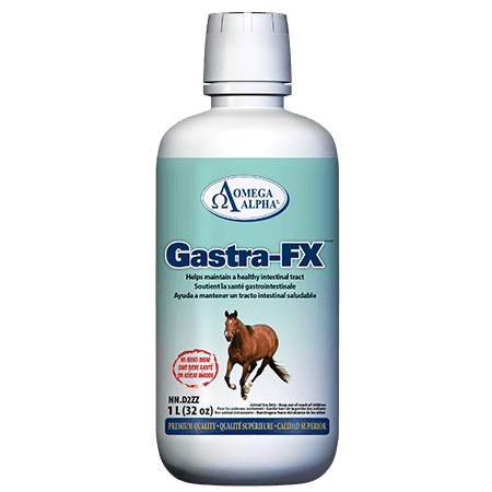 Omega Alpha - Equine - Gastra-FX