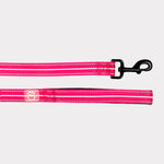 GF Pets - Leash - Reflective