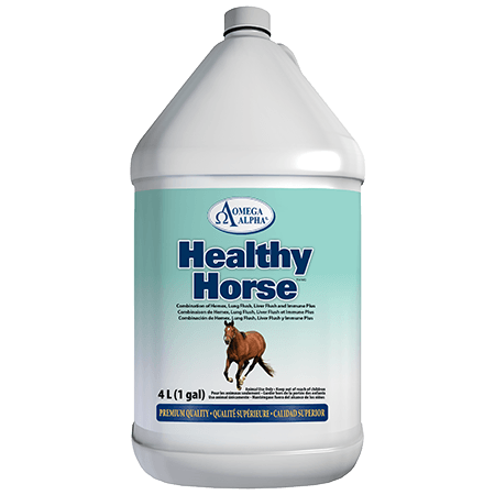 Omega Alpha - Equine - Healthy Horse - 4L