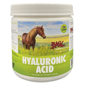 Hyaluronic Acid 99% - 300g