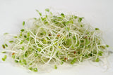 Fothergill's Seeds - Micro Greens