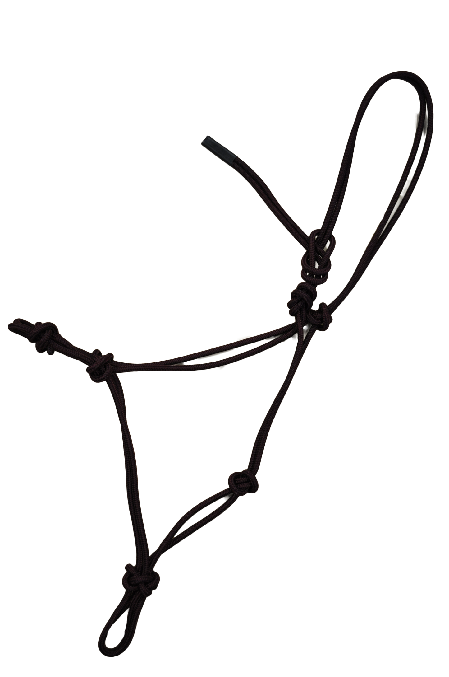 Burwash - Kanga - Foal - 4-Knot Rope Horse Halter