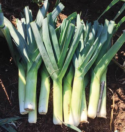 West Coast Seeds - Misc Vegetables