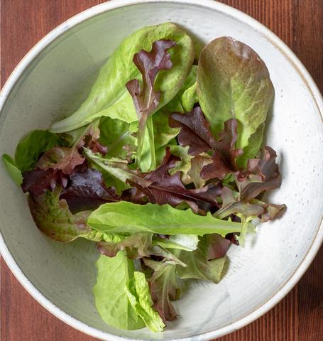 West Coast Seeds - Lettuce