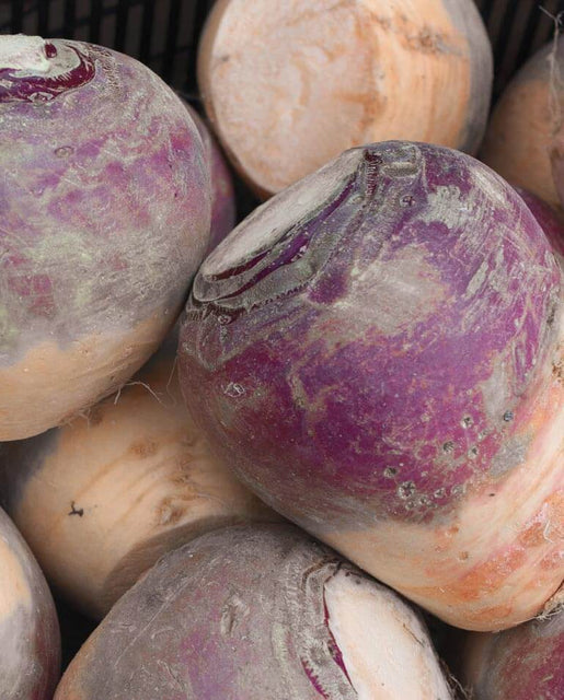 West Coast Seeds - Misc Vegetables