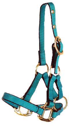 Burwash - Llama Halter