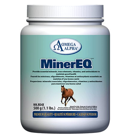 Omega Alpha - Equine - Miner EQ