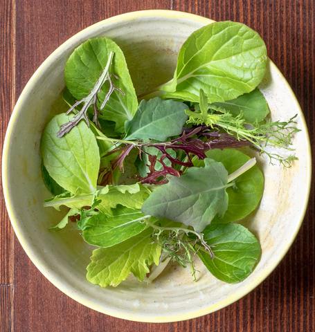 West Coast Seeds - Misc Greens