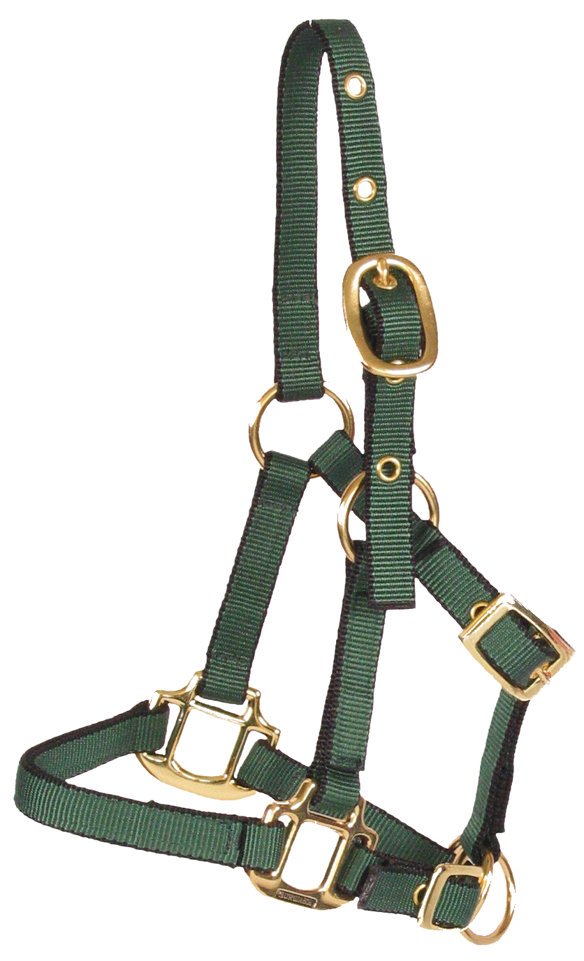 Burwash - Miniature Horse Web Halter