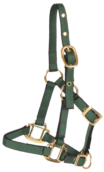 Burwash - Miniature Horse Web Halter