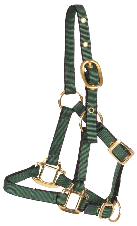 Burwash - Miniature Horse Web Halter